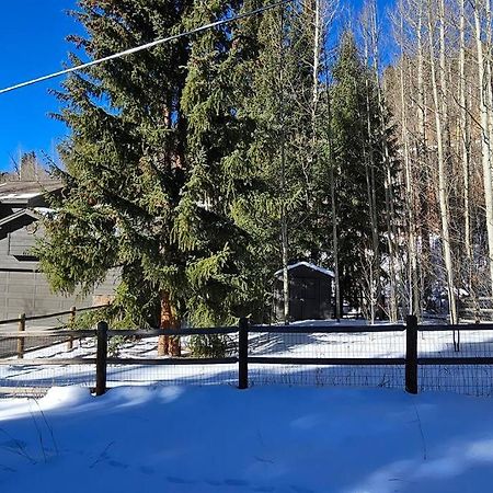 Private And Updated Breck Home With Hot Tub Breckenridge Bagian luar foto