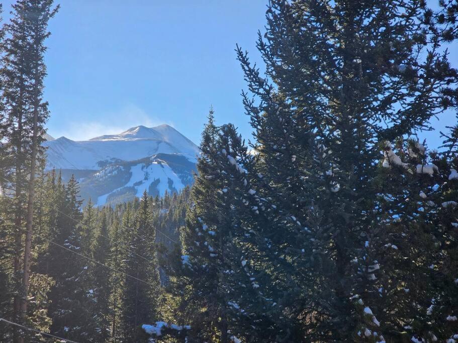 Private And Updated Breck Home With Hot Tub Breckenridge Bagian luar foto